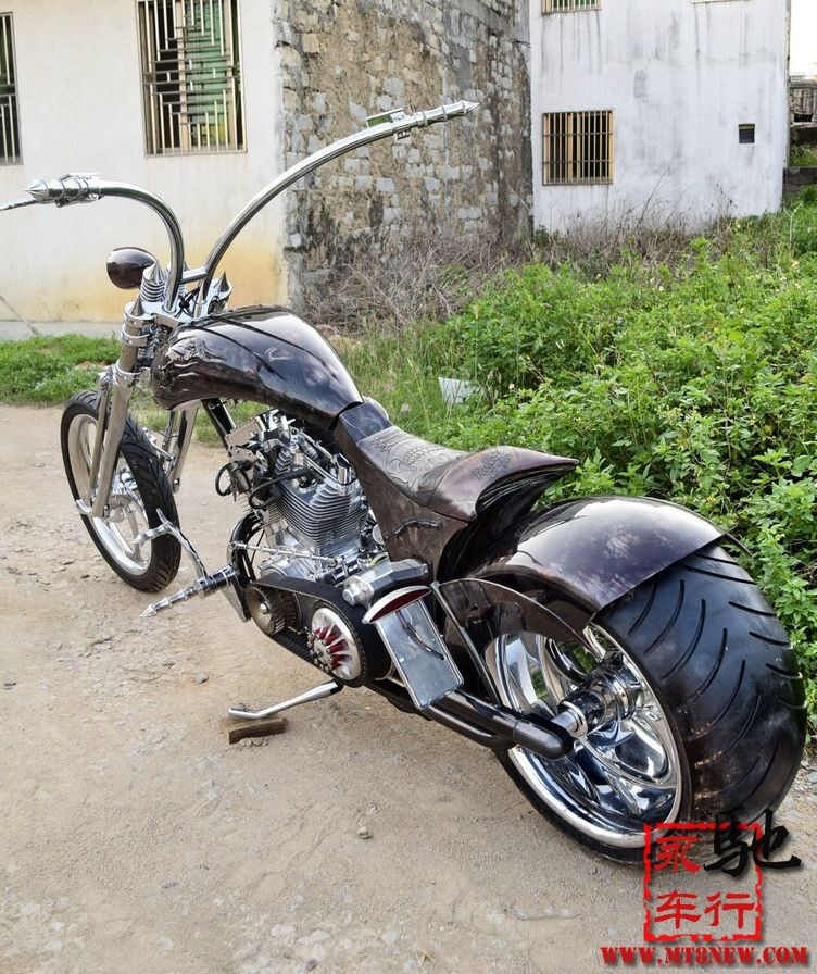 2018 美国大狗 (48).jpg