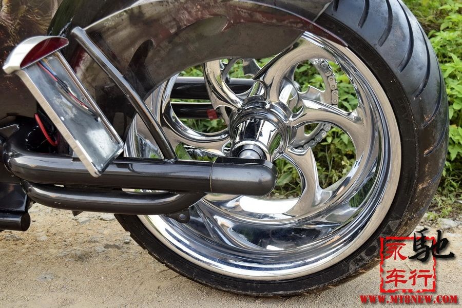 2018 美国大狗 (49).jpg