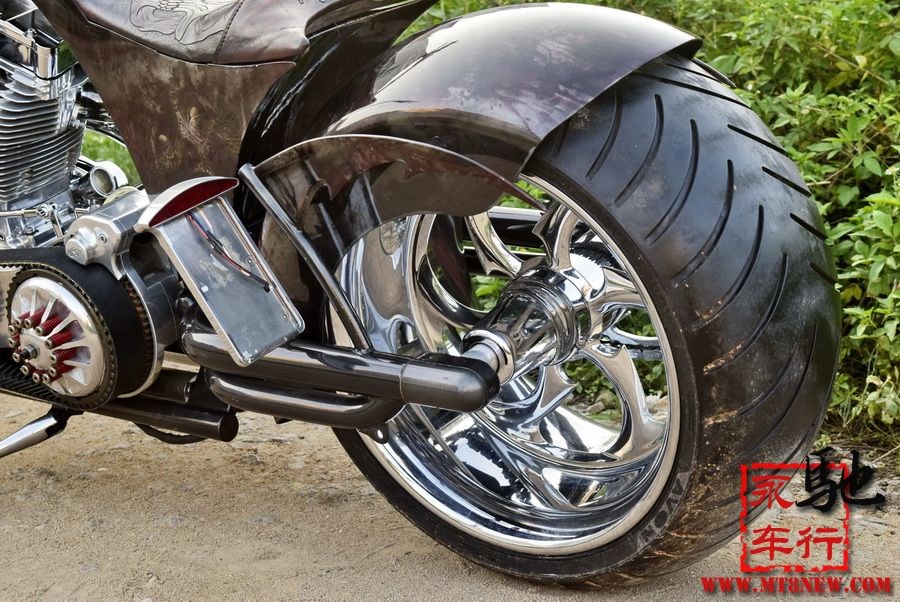 2018 美国大狗 (50).jpg