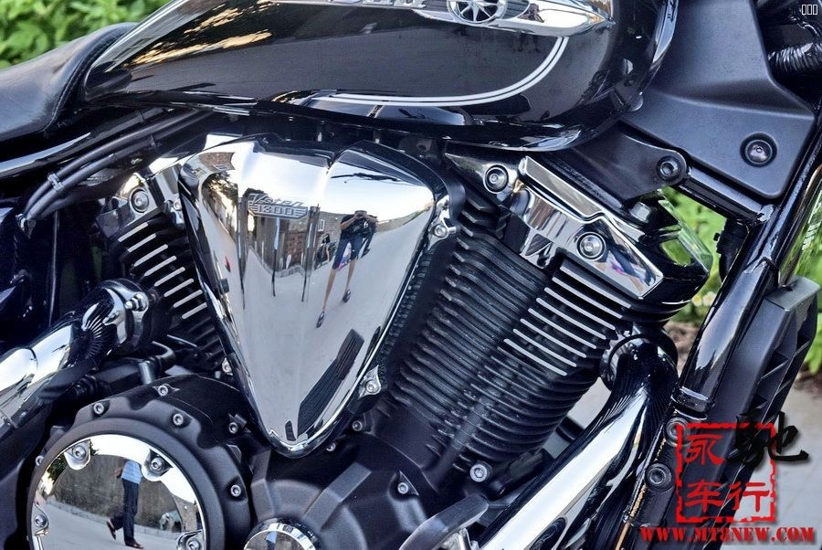 2014xvs1300 (23).jpg