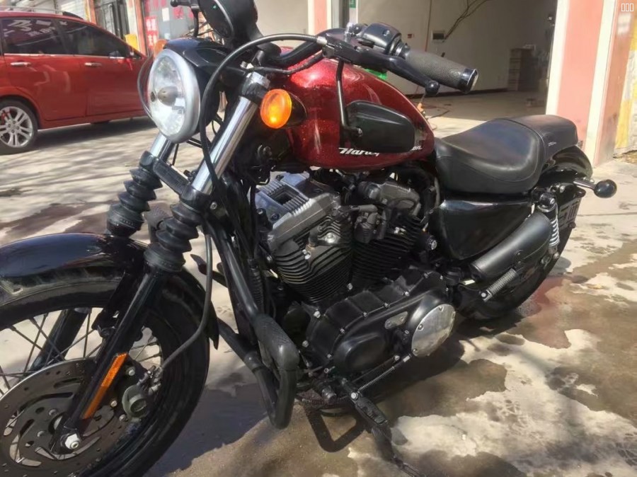 哈雷4.jpg