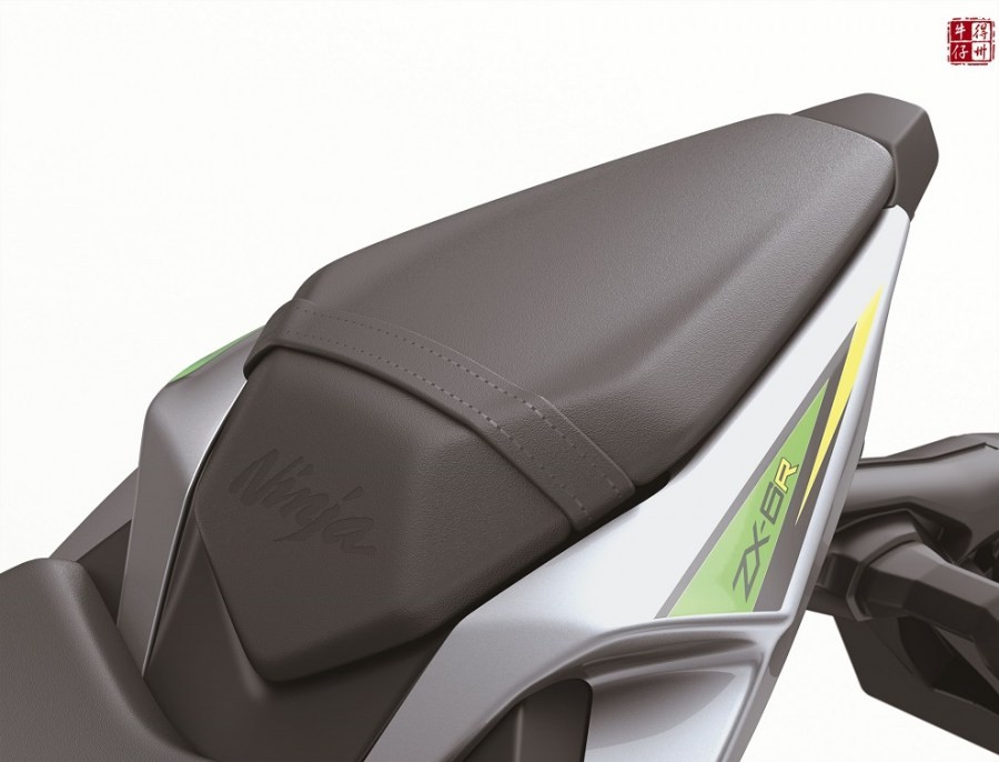 101118-2019-kawasaki-ninja-zx-6r-zx636-G_201GN1FSEB3CG_A.jpg