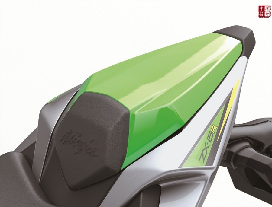 101118-2019-kawasaki-ninja-zx-6r-zx636-G_201GN1FSEC3CG_A.jpg