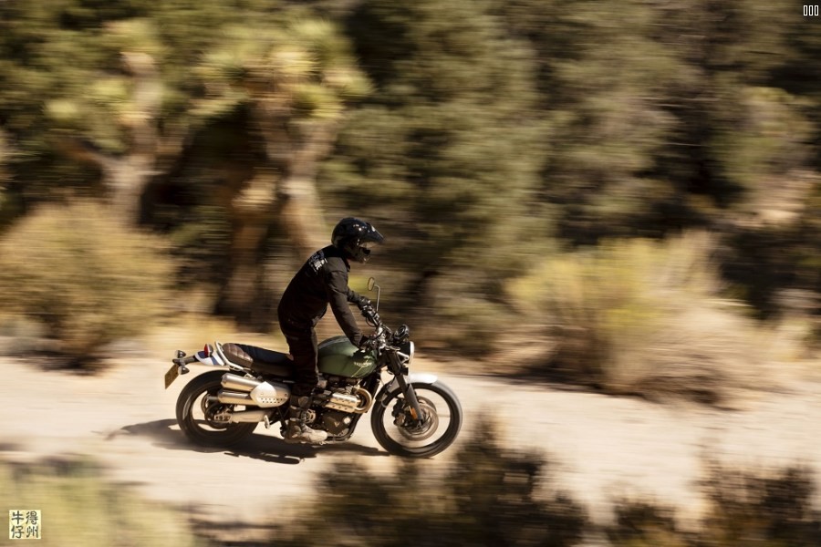 102418-2019-Triumph-Scrambler-1200-XC-1.jpg