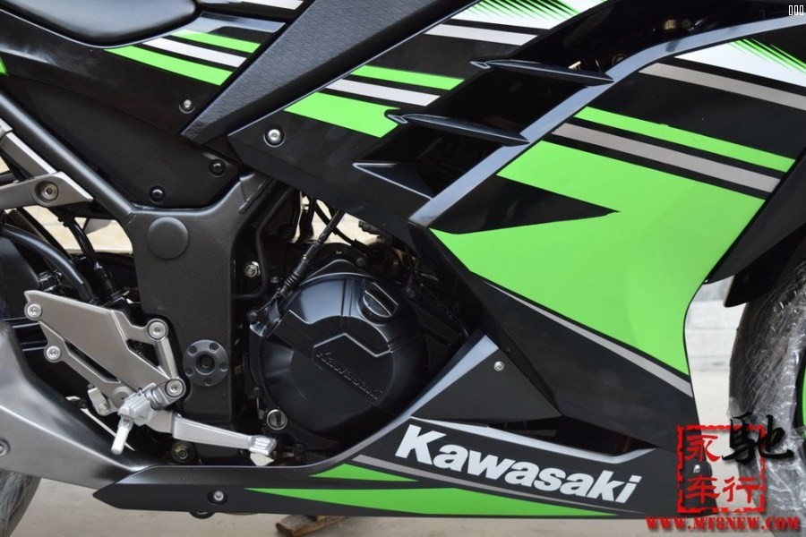 2017 小忍者 (6).jpg