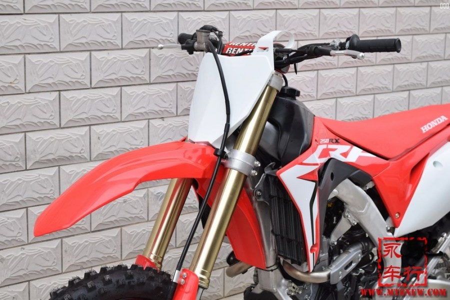 2019 CRF (2).jpg