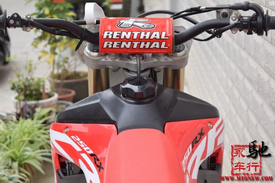 2019 CRF (15).jpg
