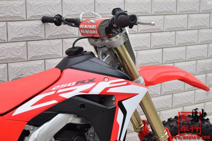 2019 CRF (27).jpg
