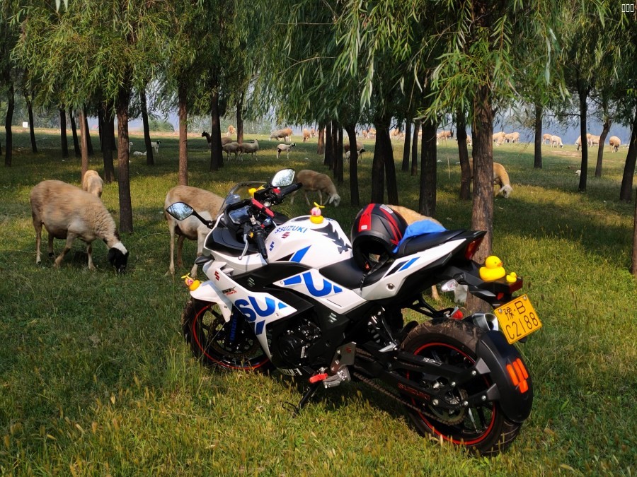 调整大小 IMG_20190922_094640.jpg