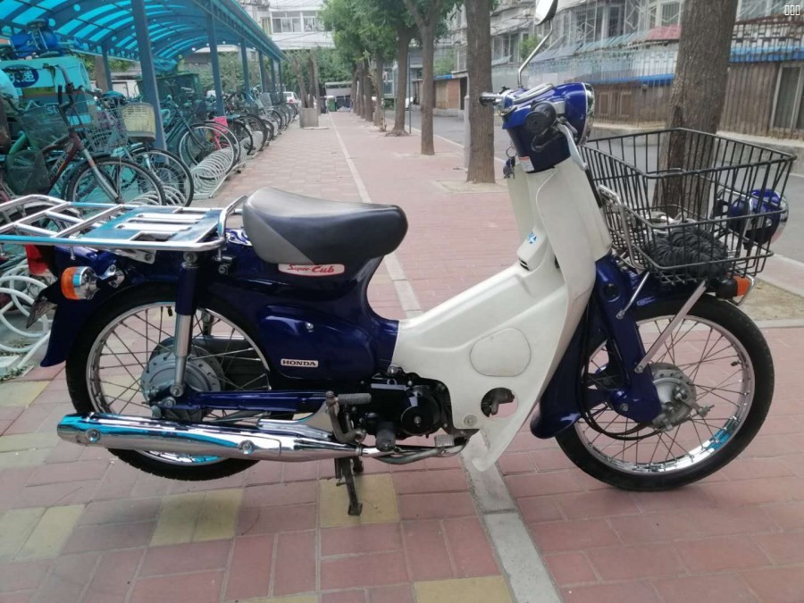 super cub.jpg